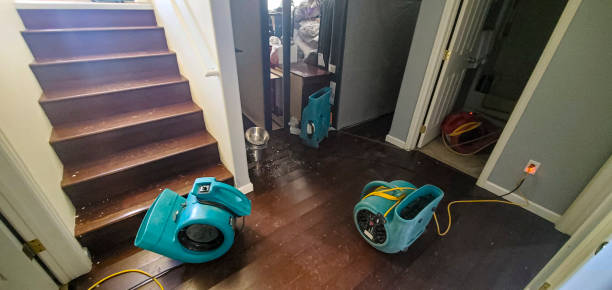 Best Water damage restoration company  in King Of Prussia, PA