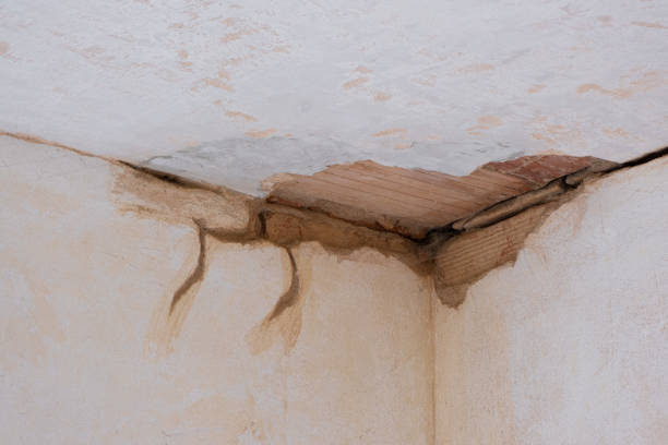 Best Basement water damage restoration  in King Of Prussia, PA