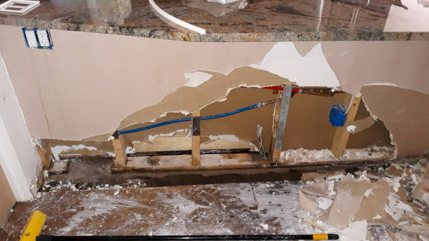 Best Mold removal after water damage  in King Of Prussia, PA