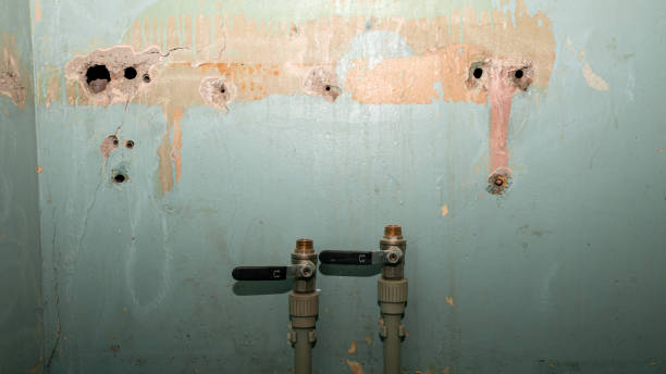  King Of Prussia, PA Water damage restoration Pros