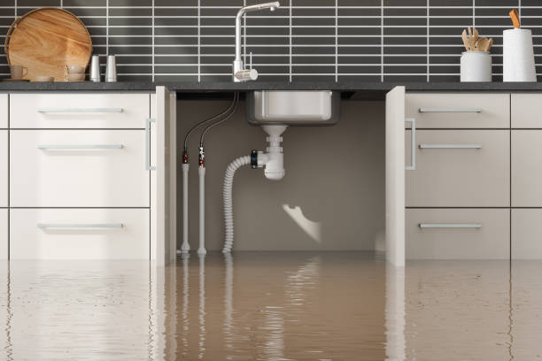 Best Water damage restoration process  in King Of Prussia, PA